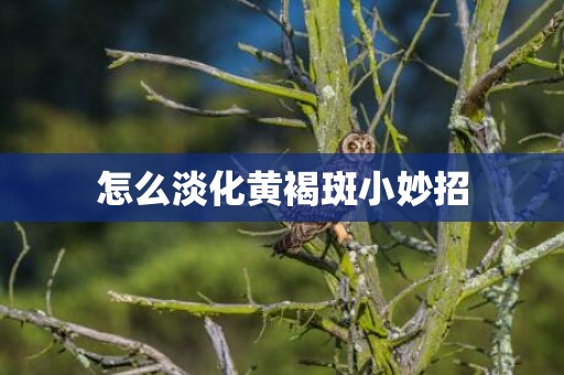 怎么淡化黄褐斑小妙招