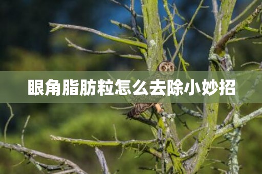 眼角脂肪粒怎么去除小妙招