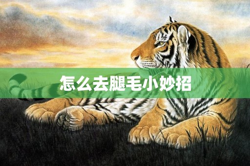 怎么去腿毛小妙招
