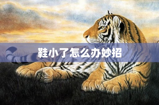 鞋小了怎么办妙招