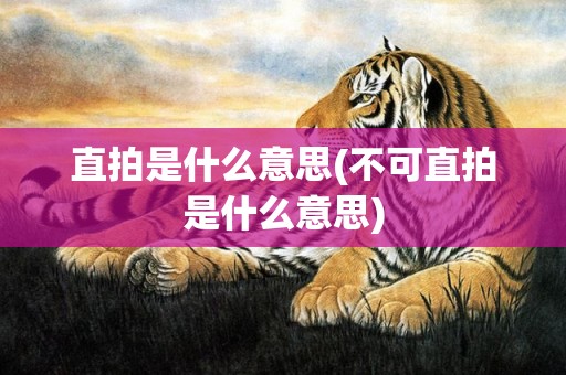 直拍是什么意思(不可直拍是什么意思)