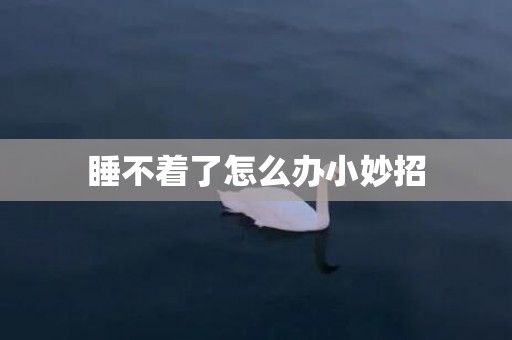 睡不着了怎么办小妙招
