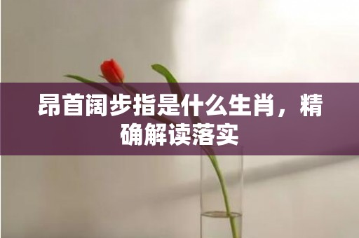 昂首阔步指是什么生肖，精确解读落实