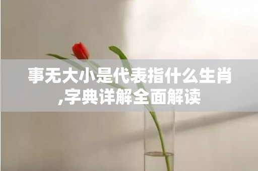 事无大小是代表指什么生肖,字典详解全面解读