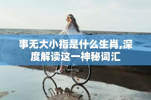 事无大小指是什么生肖,深度解读这一神秘词汇