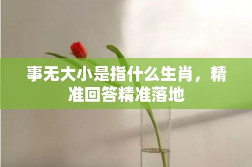 事无大小是指什么生肖，精准回答精准落地