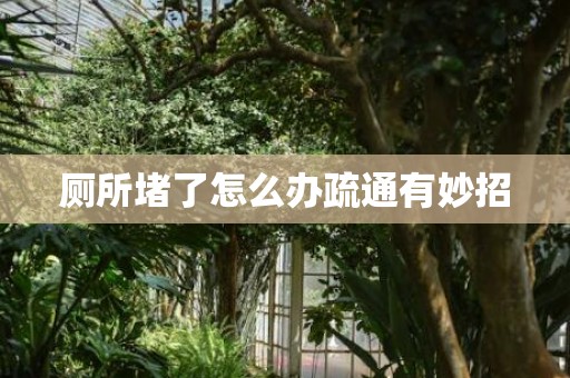 厕所堵了怎么办疏通有妙招
