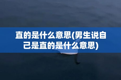 直的是什么意思(男生说自己是直的是什么意思)