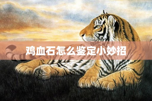 鸡血石怎么鉴定小妙招