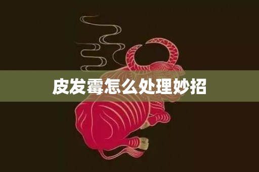 皮发霉怎么处理妙招