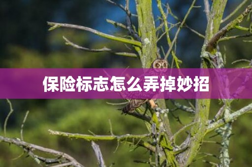 保险标志怎么弄掉妙招