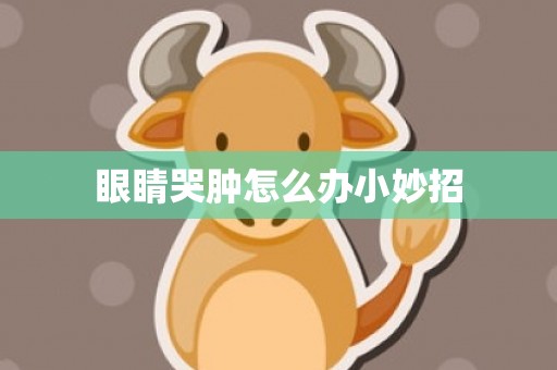 眼睛哭肿怎么办小妙招