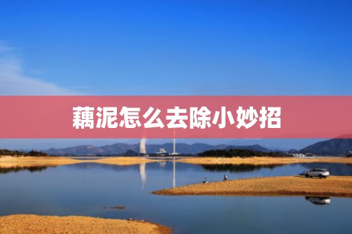 藕泥怎么去除小妙招