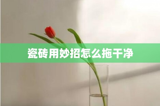 瓷砖用妙招怎么拖干净