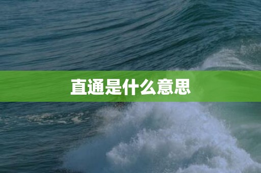 直通是什么意思