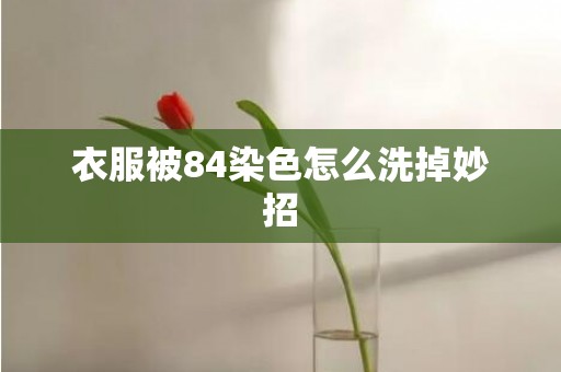 衣服被84染色怎么洗掉妙招