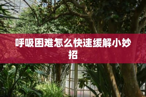 呼吸困难怎么快速缓解小妙招
