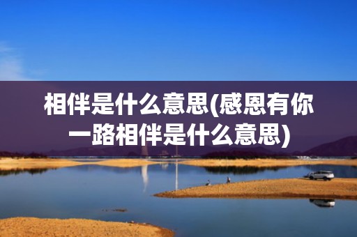 相伴是什么意思(感恩有你一路相伴是什么意思)
