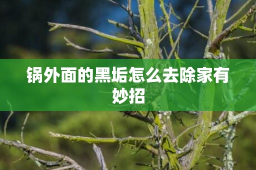锅外面的黑垢怎么去除家有妙招