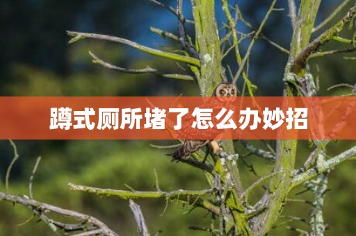 蹲式厕所堵了怎么办妙招