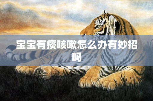 宝宝有痰咳嗽怎么办有妙招吗
