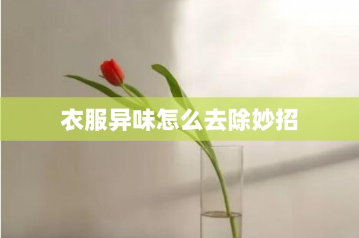 衣服异味怎么去除妙招