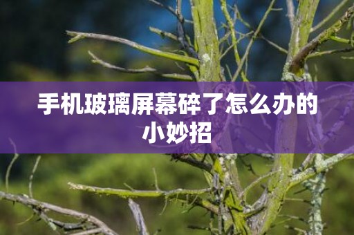 手机玻璃屏幕碎了怎么办的小妙招