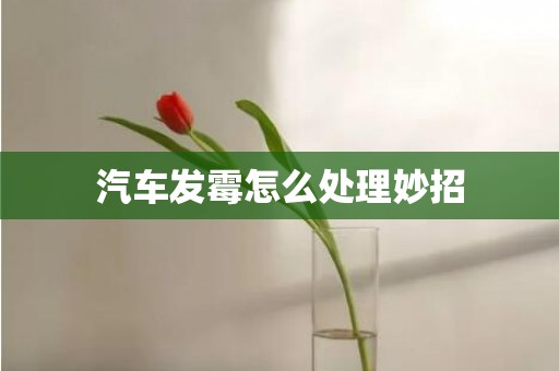 汽车发霉怎么处理妙招