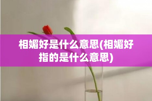 相媚好是什么意思(相媚好指的是什么意思)