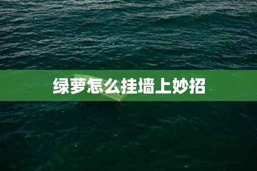 绿萝怎么挂墙上妙招