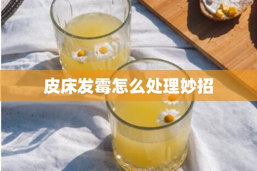 皮床发霉怎么处理妙招