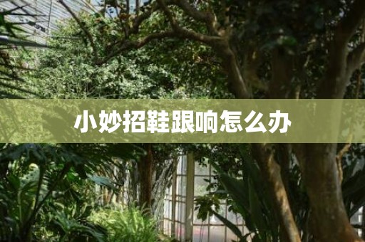 小妙招鞋跟响怎么办