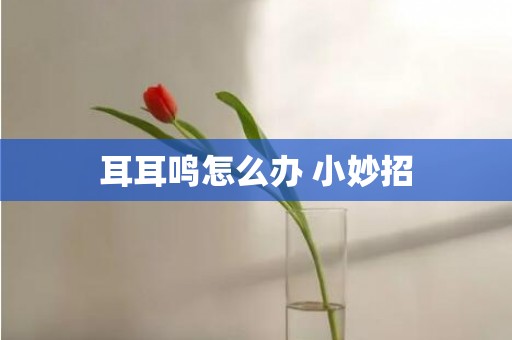耳耳鸣怎么办 小妙招
