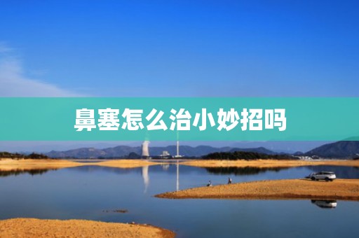 鼻塞怎么治小妙招吗