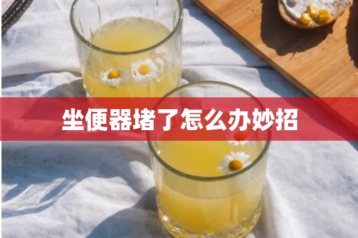 坐便器堵了怎么办妙招