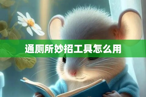 通厕所妙招工具怎么用