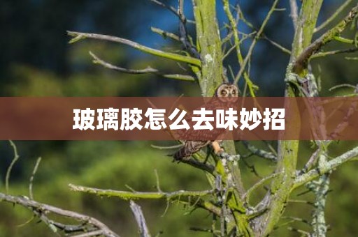 玻璃胶怎么去味妙招