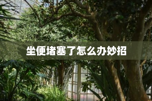 坐便堵塞了怎么办妙招