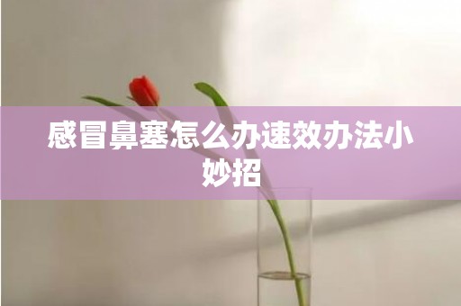 感冒鼻塞怎么办速效办法小妙招