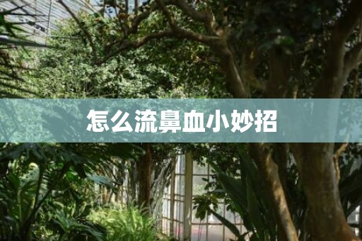 怎么流鼻血小妙招