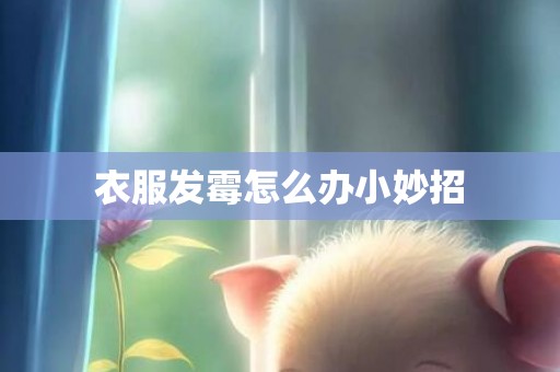 衣服发霉怎么办小妙招