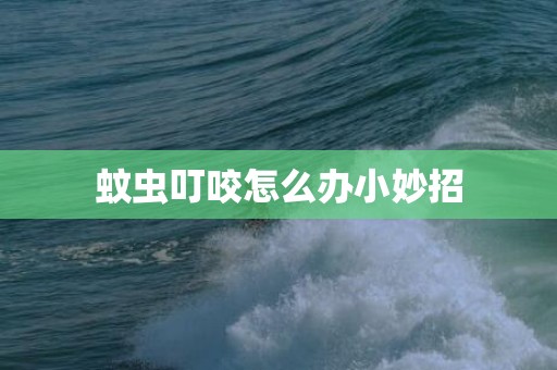 蚊虫叮咬怎么办小妙招