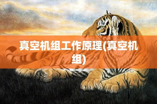 真空机组工作原理(真空机组)
