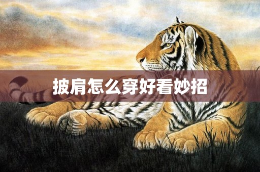 披肩怎么穿好看妙招