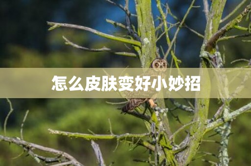 怎么皮肤变好小妙招