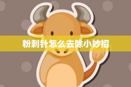 粉刺针怎么去除小妙招