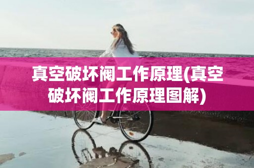真空破坏阀工作原理(真空破坏阀工作原理图解)