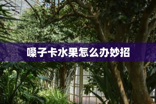 嗓子卡水果怎么办妙招