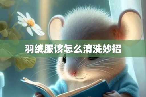 羽绒服该怎么清洗妙招
