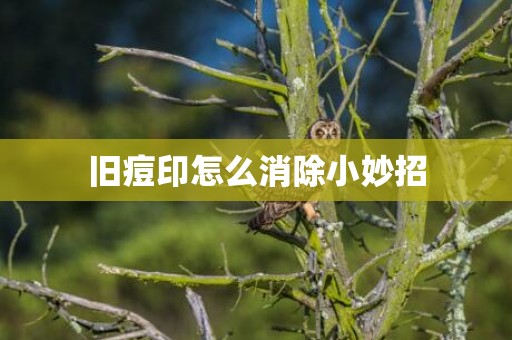 旧痘印怎么消除小妙招